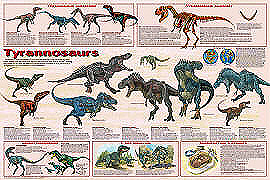 Tyranannosaur Poster